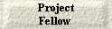  Project 
Fellow 